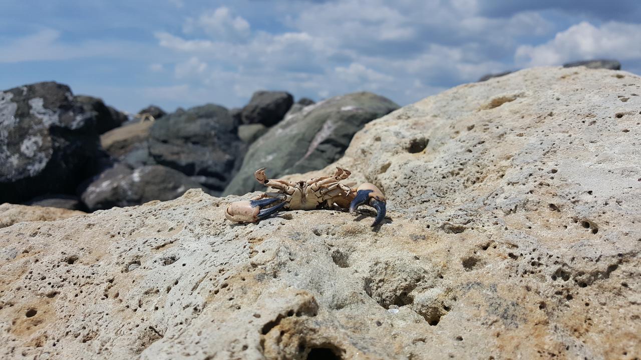 ラヴダ Marina Cape Vacation Complexアパートホテル エクステリア 写真